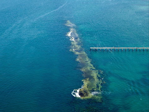 Port Noarlunga Reef Sanctuary Zone - Encounter Marine Park - Accommodation Newcastle 0