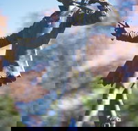 Queens Gardens - Accommodation Newcastle