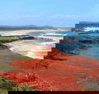 Red Cliff - Accommodation Newcastle