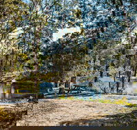 River Walk Boonoo Boonoo National Park - Accommodation Newcastle