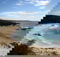 Snorkelling Mystery Bay - Accommodation Newcastle