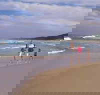 Soldiers Beach - Accommodation Newcastle