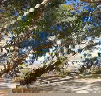 Spring Gully Conservation Park - Accommodation Newcastle