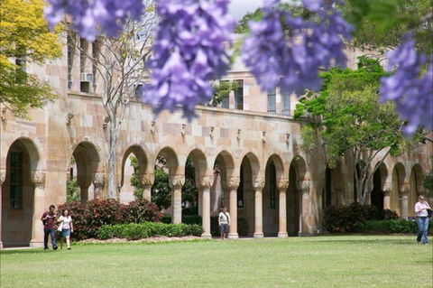 The University Of Queensland - Accommodation Newcastle 0