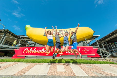 The Big Banana Fun Park - Accommodation Newcastle 0