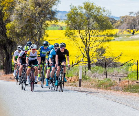 The Heron's Highway - Avon River Cycle Trail - Accommodation Newcastle 0