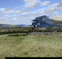 Thornton - Accommodation Newcastle