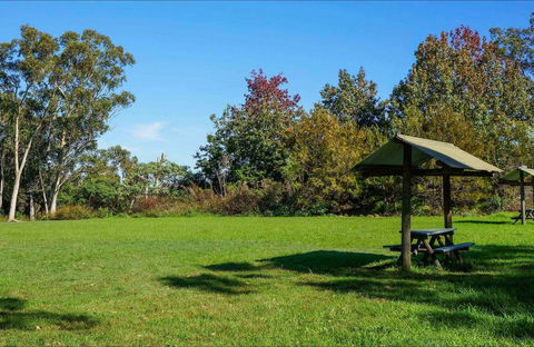 Tunks Hill Picnic Area - Accommodation Newcastle 0