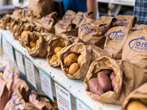 Warragul Farmers Market - Accommodation Newcastle 2