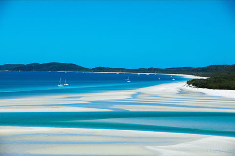 Whitehaven Beach - Accommodation Newcastle 1