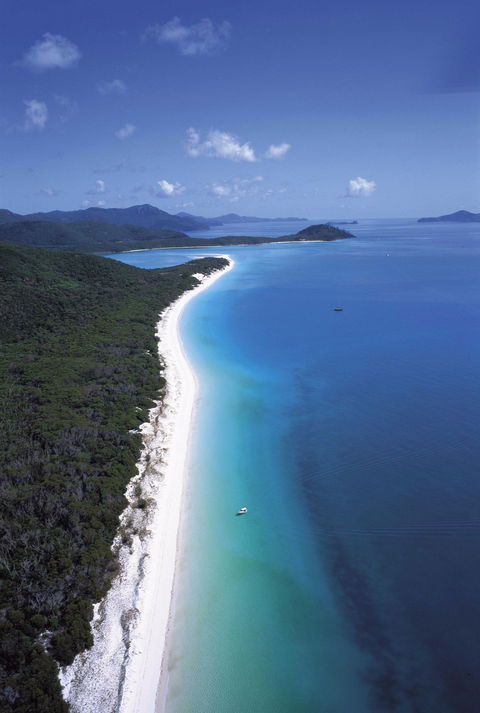 Whitehaven Beach - Accommodation Newcastle 2