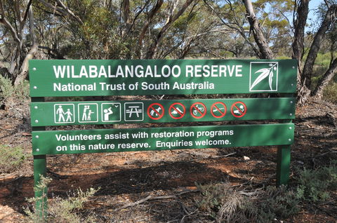 Wilabalangaloo Reserve - Accommodation Newcastle 0