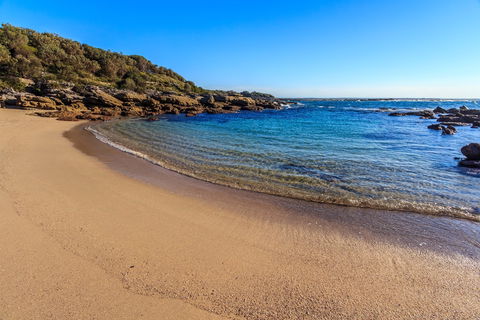 Wilsons Beach - Accommodation Newcastle 0
