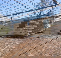 Aboriginal Carvings - Accommodation Newcastle