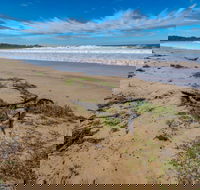 Avenue Beach - Accommodation Newcastle