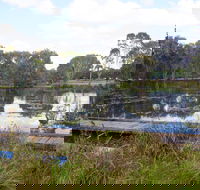 Baldwin Swamp Environmental Park - Accommodation Newcastle