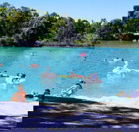 Black Diamond Lake - Accommodation Newcastle