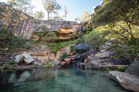Blackdown Tableland National Park - Accommodation Newcastle 1