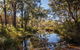 Blackdown Tableland National Park - thumb 2