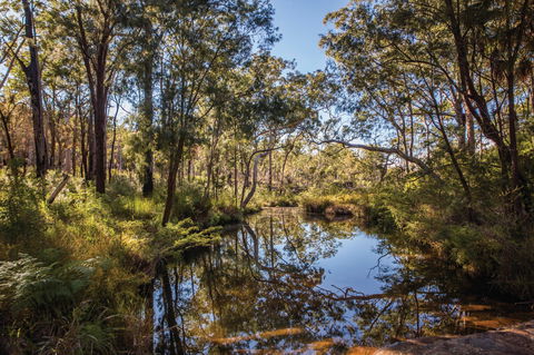 Blackdown Tableland National Park - Accommodation Newcastle 2