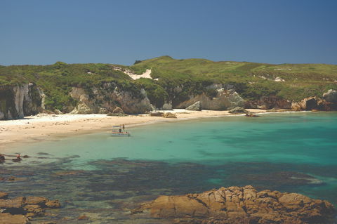 Broughton Island - Accommodation Newcastle 1
