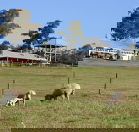 Calmsley Hill City Farm - Accommodation Newcastle