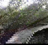 Carole Green Walkway - John Oxley Reserve - Accommodation Newcastle