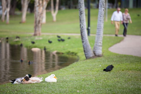 Centenary Lakes Park - Accommodation Newcastle 2