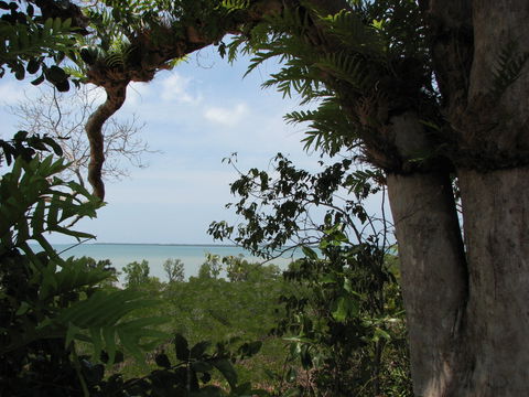 Channel Point Coastal Reserve - Accommodation Newcastle 0