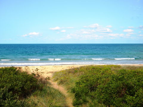 Culburra Surf Beach - Accommodation Newcastle 1