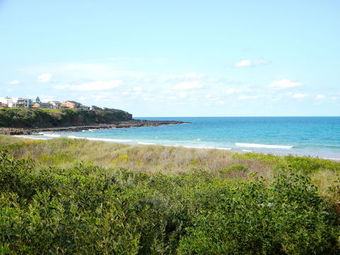 Culburra Surf Beach - Accommodation Newcastle 2