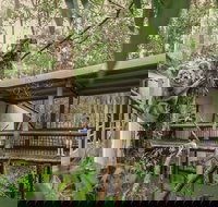 Daisy Hill Koala Centre - Accommodation Newcastle