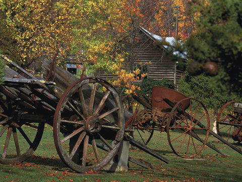 Derwent Valley And Central Highlands - Accommodation Newcastle 2