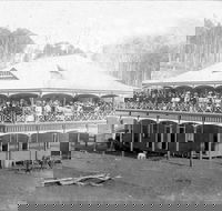 Don Dorrigo and Guy Fawkes Historical Society Museum - Accommodation Newcastle