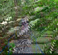 Falls walking track - Accommodation Newcastle