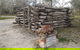 Fort Bourke Stockade - thumb 1