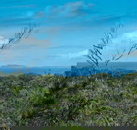 Forest Walking Track Crowdy Bay National Park - Accommodation Newcastle