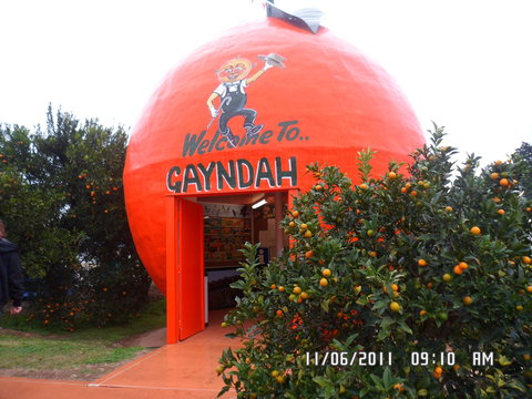 Gayndah's Big Orange - Accommodation Newcastle 2