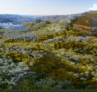 Gold Coast Hinterland Great Walk - Accommodation Newcastle