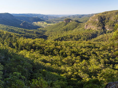 Gold Coast Hinterland Great Walk - Accommodation Newcastle 0