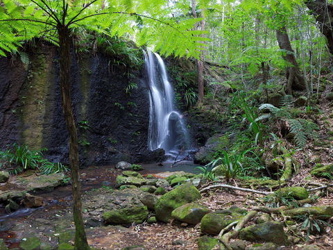 Gold Coast Hinterland Great Walk - Accommodation Newcastle 1
