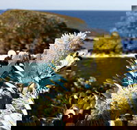 Green Island Walking Track