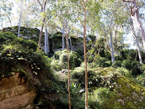Haunted Point Loop Walk - Accommodation Newcastle 0