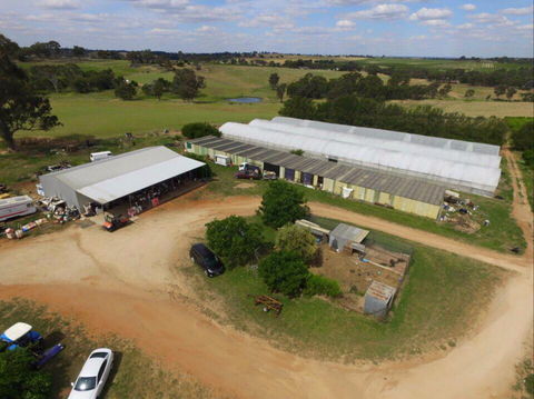 Hill-Lock Orchard - Accommodation Newcastle 0