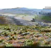 Horseshoe Rim 4WD Adventure Track - Accommodation Newcastle