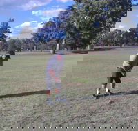 Inverell Golf Club - Accommodation Newcastle