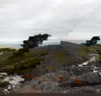 Iron Stone Hill Hike - Accommodation Newcastle