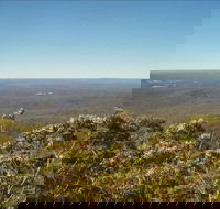 Jerrawangala National Park - Accommodation Newcastle