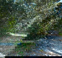 Lillypilly loop trail - Accommodation Newcastle