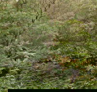 Lind National Park - Accommodation Newcastle